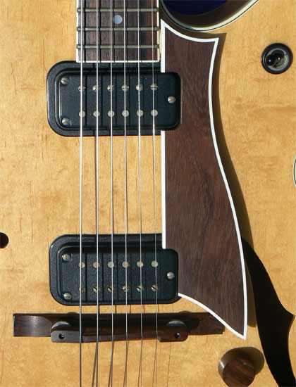 1984 Fender D'Aquisto Standard
